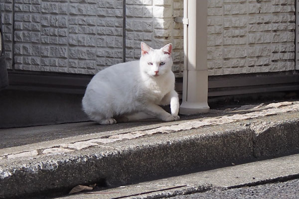 オヤツ持ってるヤツ見つけたリリ