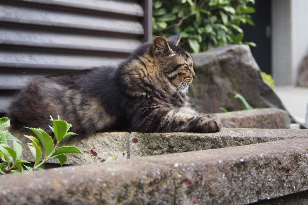 お食事タイム間近のタッチー