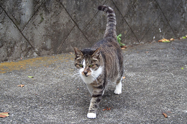 雫　スリスリしてあげる