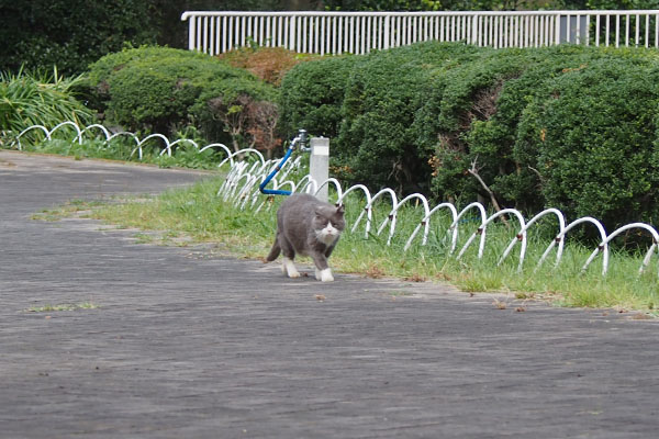 オット　こちらを見る