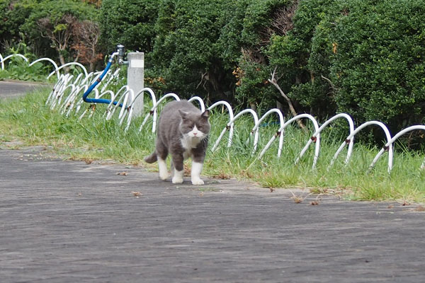 オット　来てくれるのか