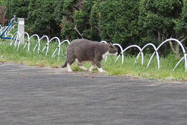 オット　来ないです