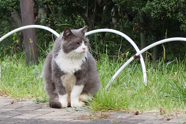 オット　お座りして遠く見る