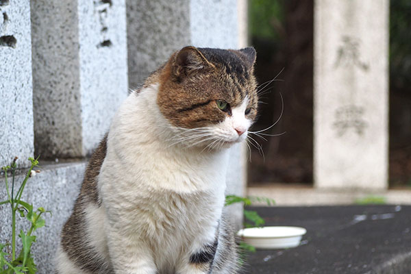 レオ太　雫をみる