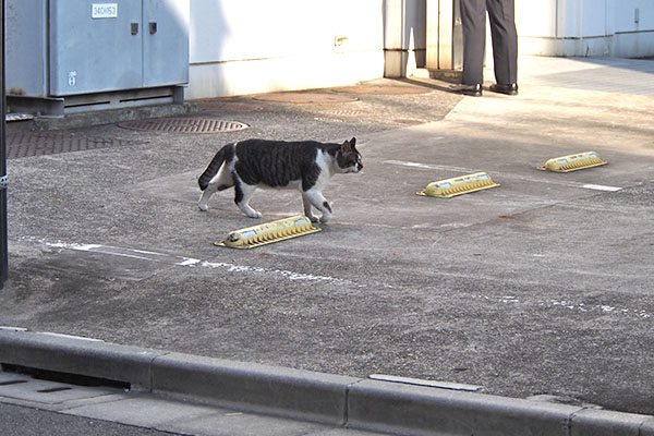 オンブレ　会社の駐車スペース