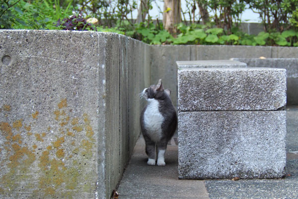 レックス　隙間上