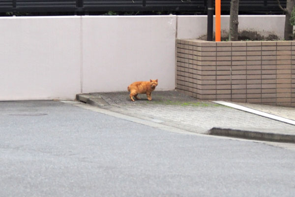 コンタ　早々に気付く