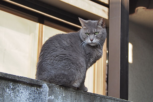 シピ　右から全体