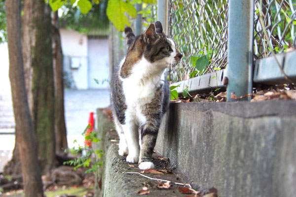 雫　横を見る