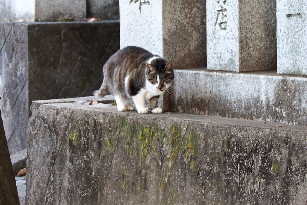 雫　珍しく行かない