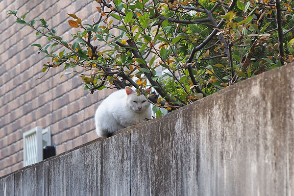 うさぎ　気づく