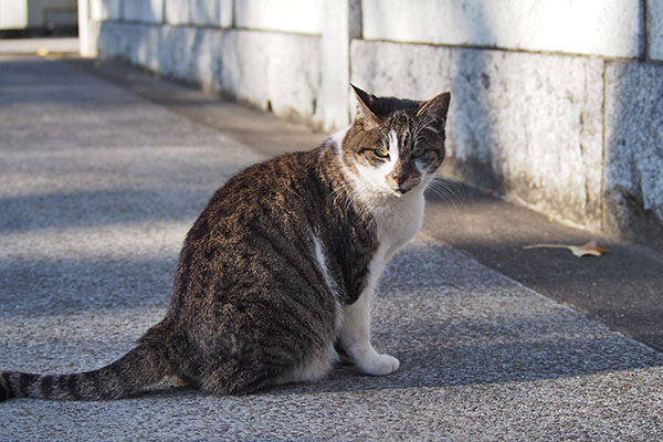 雫