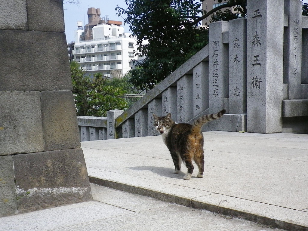 踊り場で叫ぶ雫　青空