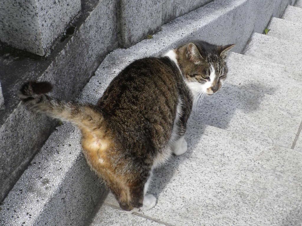 ついてきてるか確認　雫