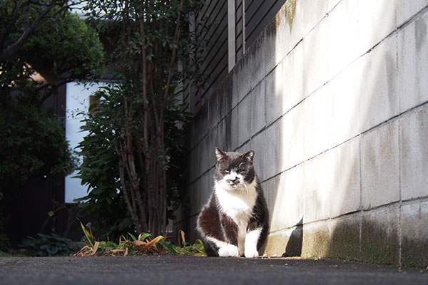 ブッチ　遠景　別れ際