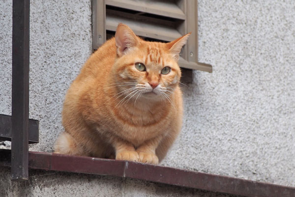 sora watching sky