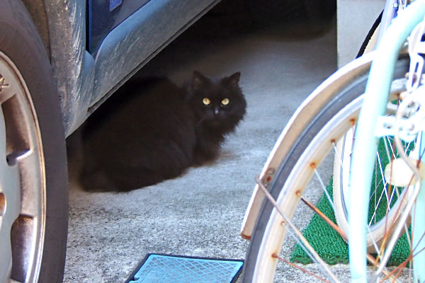 harima under the car