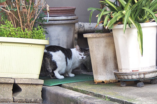 ケイ　振り返りながら