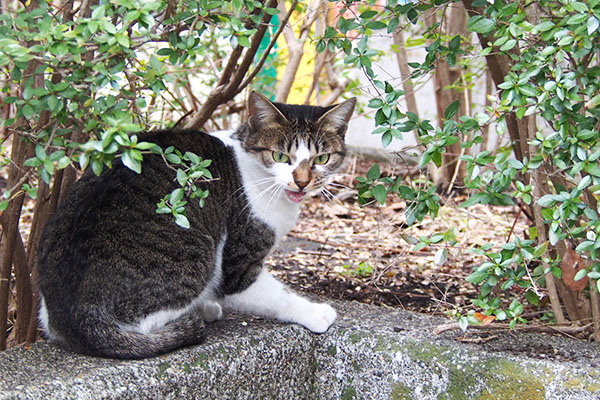 コーちゃん　怖い顔で見る