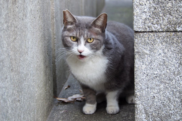 レックス　食べ終わり