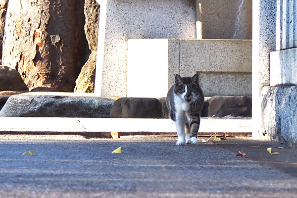 雫　来る２