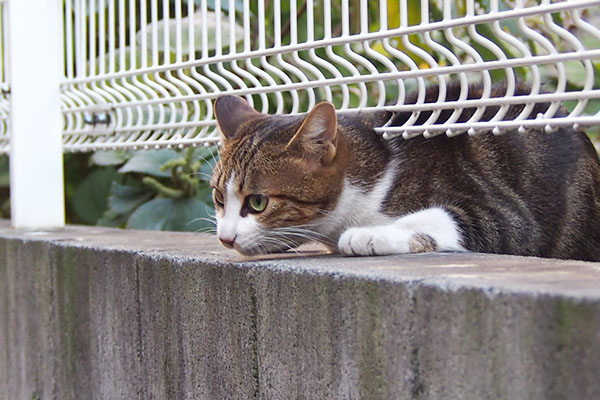 ネオン　くんかくんか