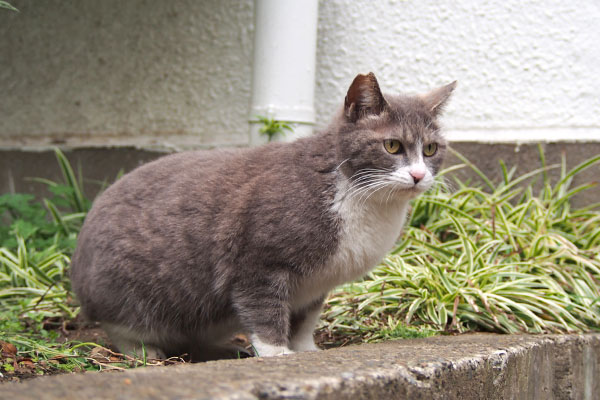 レックス　さて行きますか