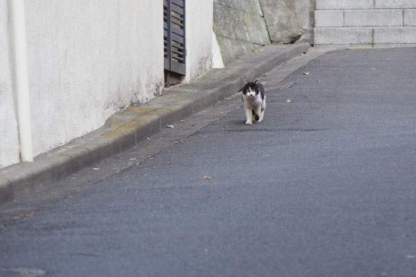 カル　階段下１