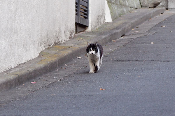 カル　階段下２