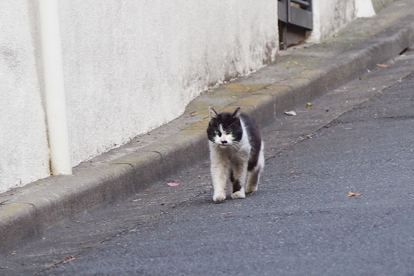 カル　階段下３