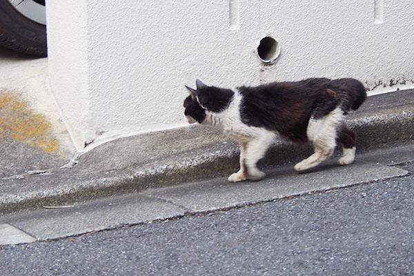 カル　目の前通過