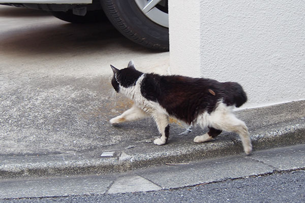 カル　右へ