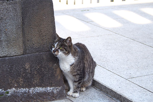 雫　階段の途中