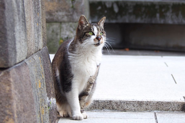 雫　フォトジェニック