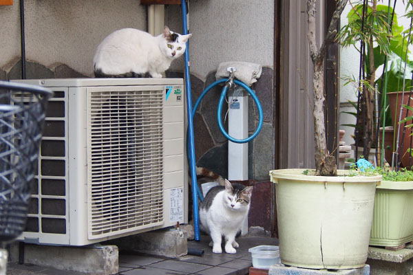 ケイが下に居た