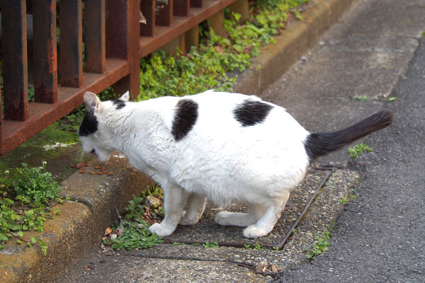 坊　食べる１