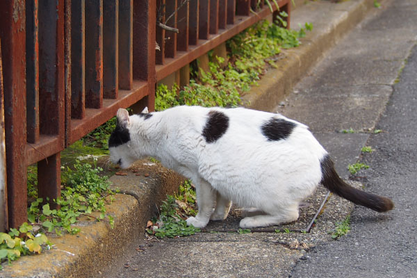 坊　食べる２