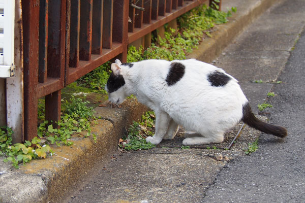 坊　食べる３