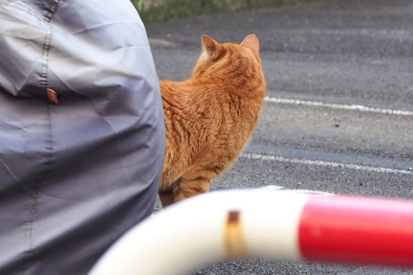 トト　背後を警戒