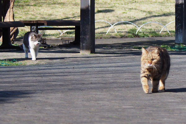 クラタンとタンタル来る