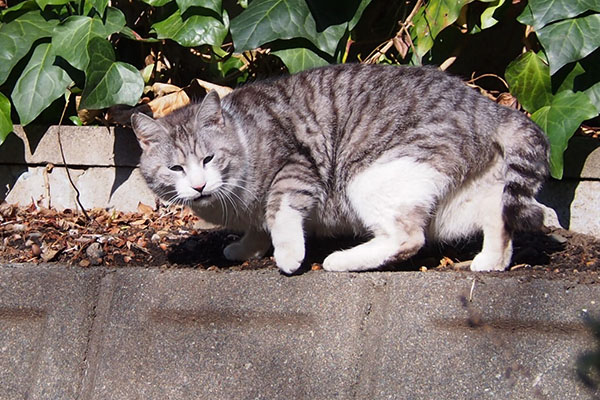 クロム　微妙な顔で