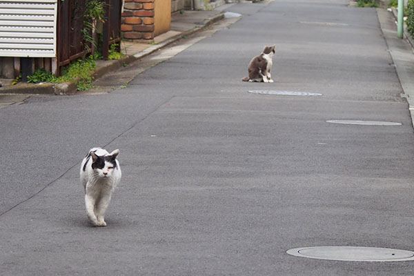 後追い坊とステイちび２