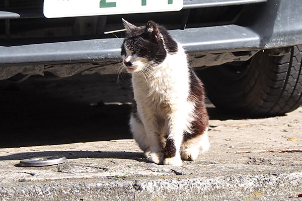 カル　車の前