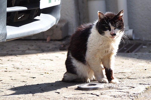 カル　少し横から