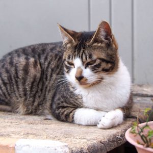 hot always this posture