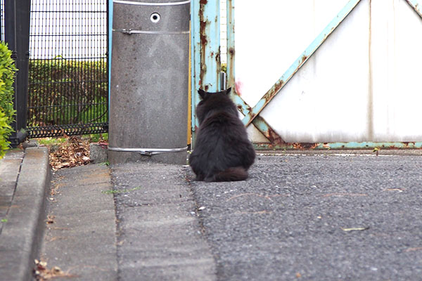 モフネ　正面から背中