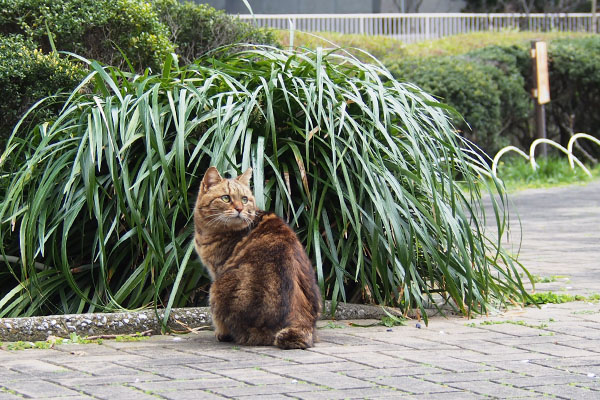 クラタン　２階見る