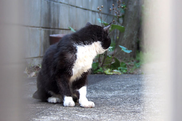 ブッチ　お礼の視線か