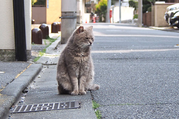 グリ　一歩出て