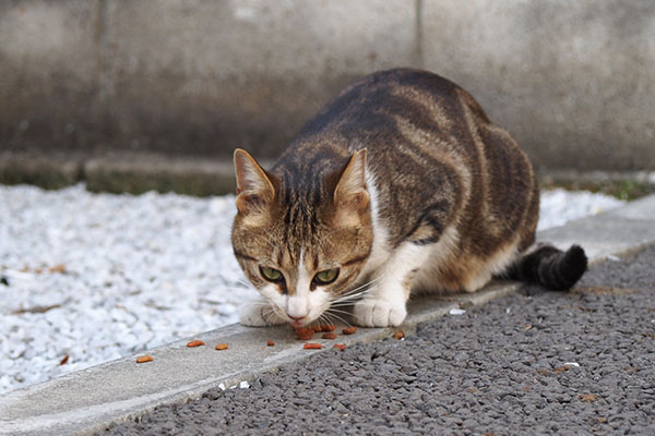 ネオン　端っこで食べる２